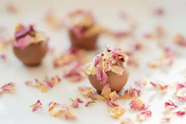 Casino Paris VIP App Android/iOS